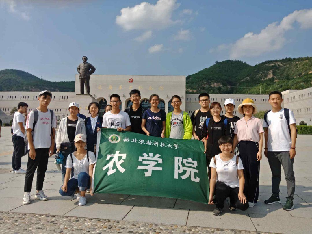逃离太古森林